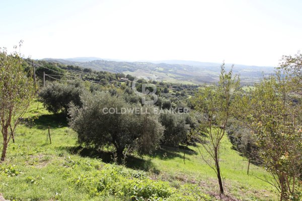 casa indipendente in vendita a Manciano in zona Poggio Murella