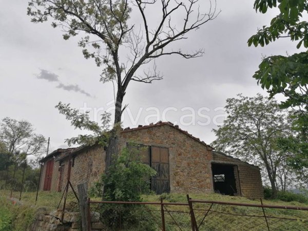 casa indipendente in vendita a Manciano in zona San Martino sul Fiora