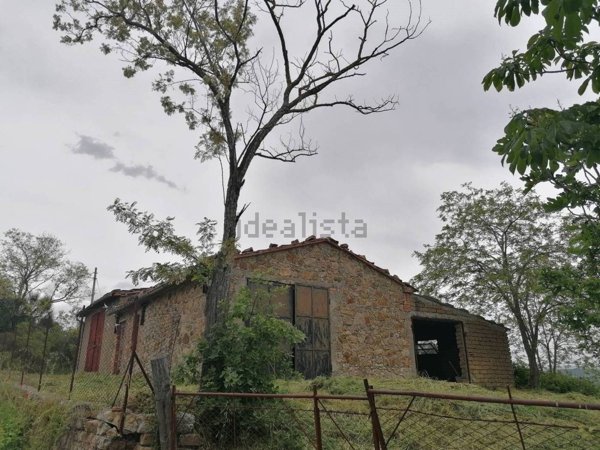 pentavano in vendita a Manciano in zona San Martino sul Fiora