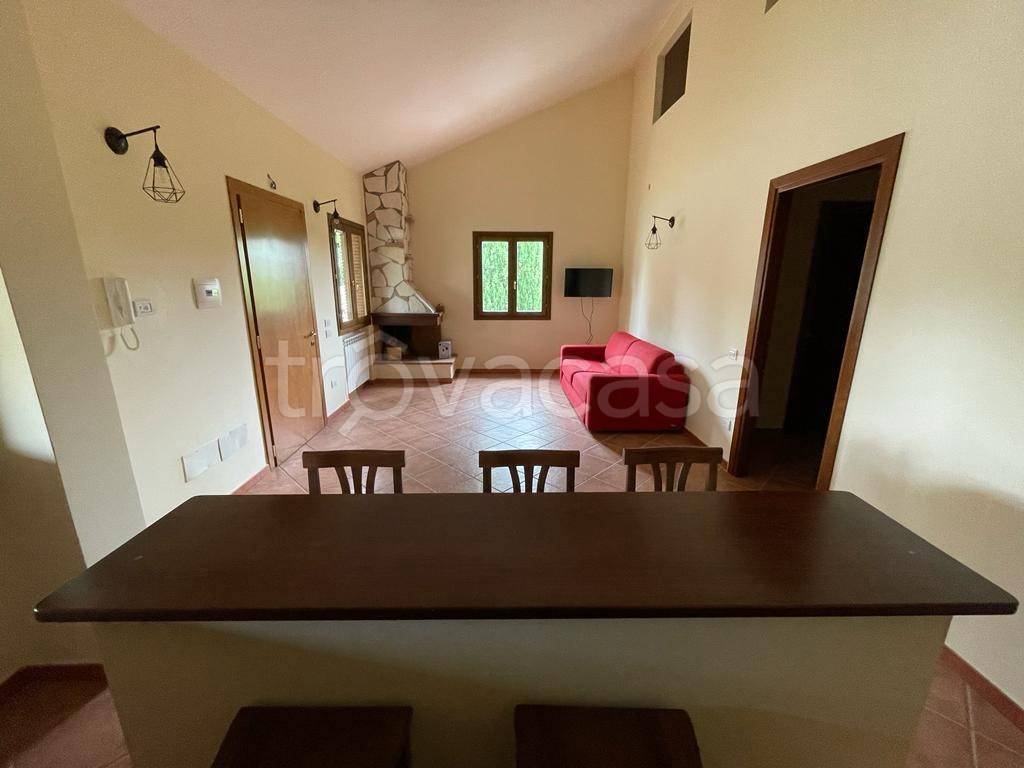 appartamento in vendita a Manciano