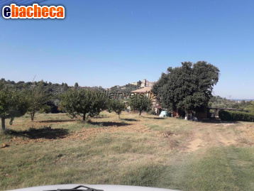 appartamento in vendita a Manciano in zona Saturnia