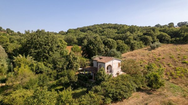 casa indipendente in vendita a Manciano in zona Montemerano