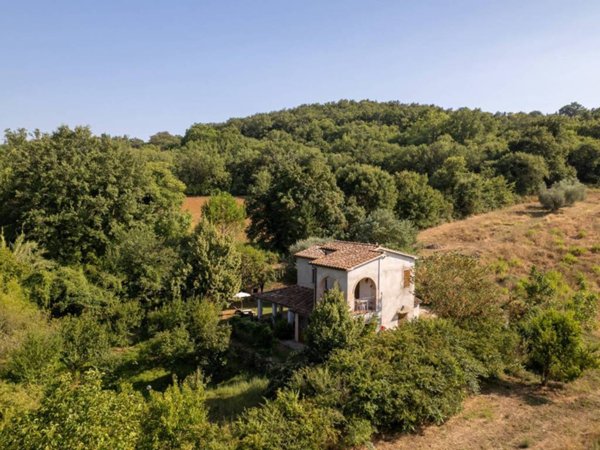 casa indipendente in vendita a Manciano in zona Montemerano