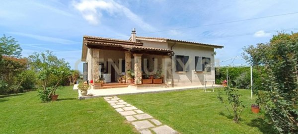 esavano in vendita a Manciano in zona Marsiliana