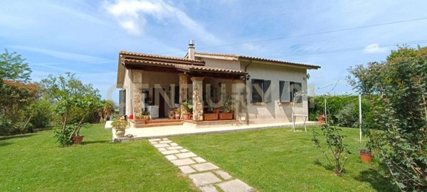 esavano in vendita a Manciano