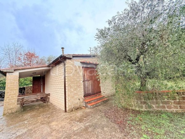 casa indipendente in vendita a Manciano in zona Saturnia