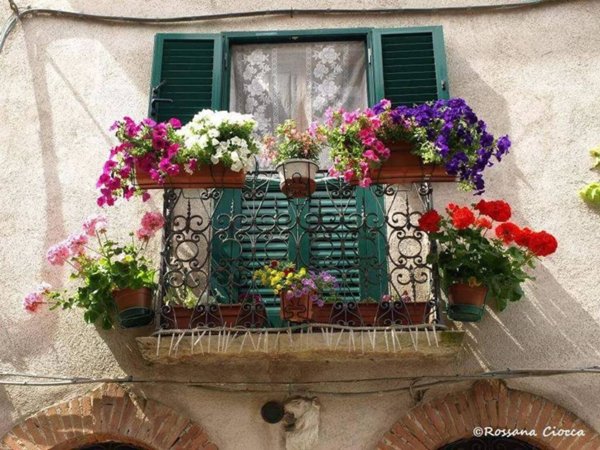 appartamento in vendita a Manciano in zona Saturnia