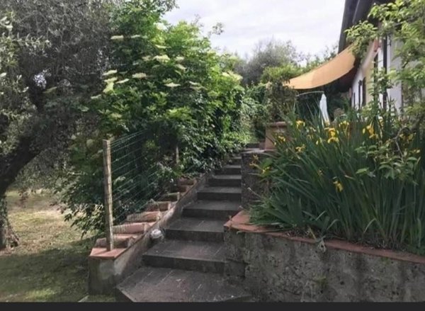 casa indipendente in vendita a Manciano in zona Montemerano