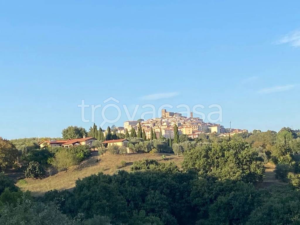casa indipendente in vendita a Manciano in zona Saturnia
