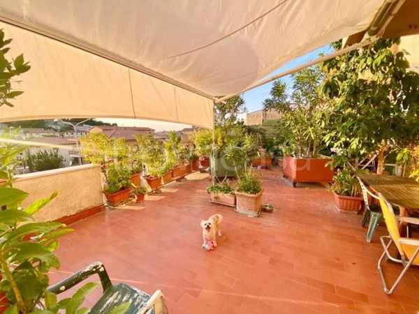 appartamento in vendita a Manciano in zona Saturnia