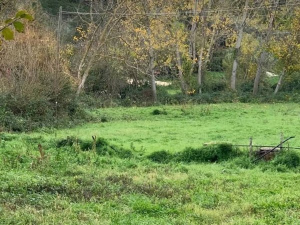 terreno agricolo in vendita a Manciano in zona Montemerano
