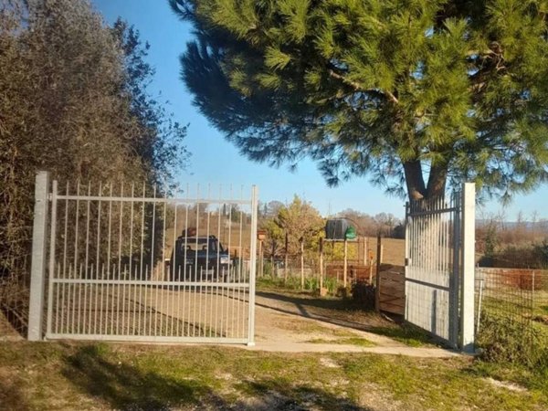 terreno agricolo in vendita a Manciano in zona Saturnia