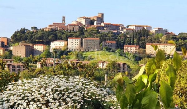casa indipendente in vendita a Manciano in zona Montemerano