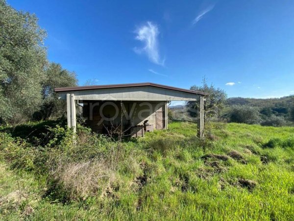 terreno agricolo in vendita a Manciano in zona Poggio Murella