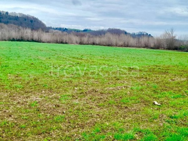 terreno agricolo in vendita a Manciano