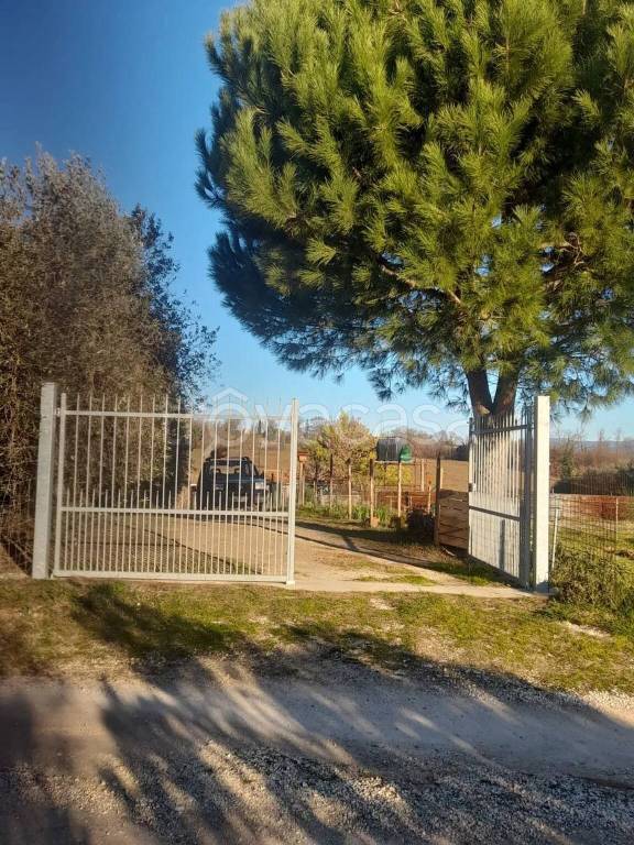 terreno agricolo in vendita a Manciano in zona Saturnia