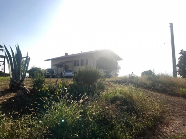 casa indipendente in vendita a Manciano in zona Saturnia
