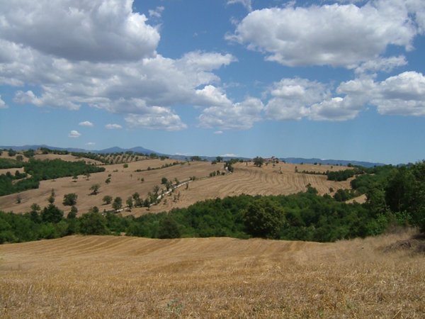 casa indipendente in vendita a Manciano in zona Saturnia