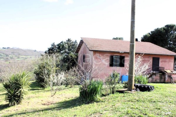 casa indipendente in vendita a Manciano in zona Montemerano