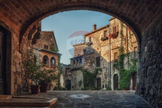 casa indipendente in vendita a Manciano in zona Montemerano