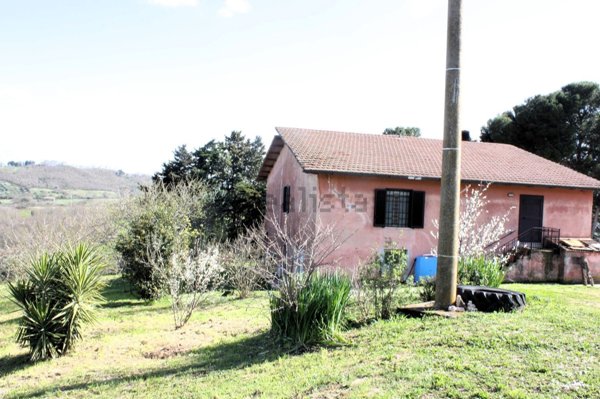 azienda agricola in vendita a Manciano