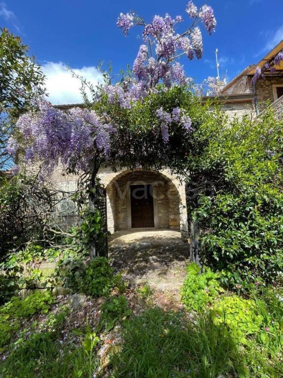 casa indipendente in vendita a Manciano in zona Montemerano