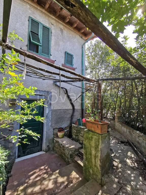casa indipendente in vendita a Manciano in zona Marsiliana