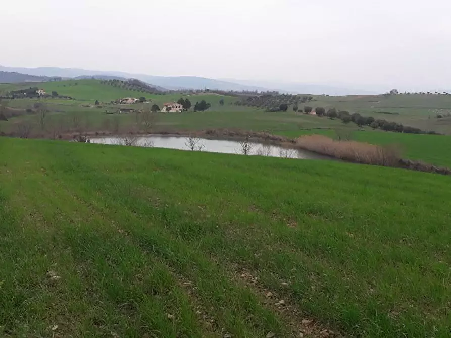 appartamento in vendita a Manciano