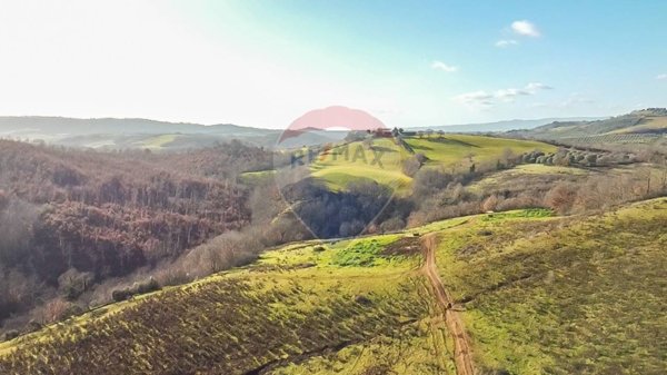 casa indipendente in vendita a Manciano in zona Poggio Murella