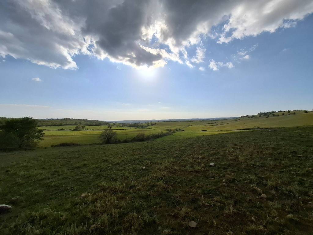 terreno agricolo in vendita a Manciano in zona Saturnia