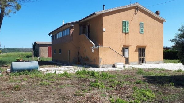 casa indipendente in vendita a Manciano in zona Marsiliana
