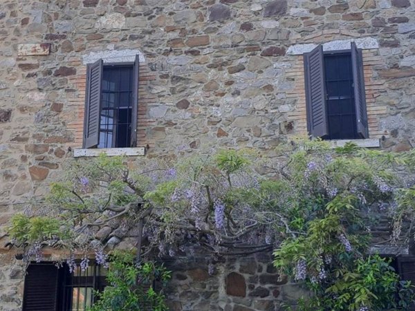 casa indipendente in vendita a Manciano in zona Poggio Murella