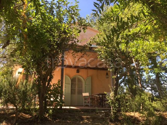 casa indipendente in vendita a Manciano