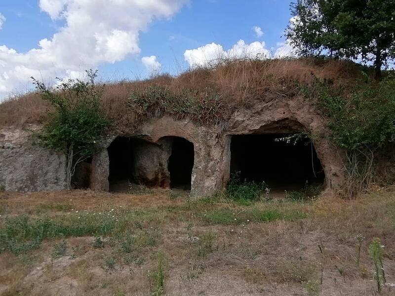 terreno agricolo in vendita a Manciano in zona San Martino sul Fiora