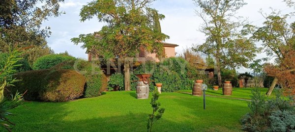 azienda agricola in vendita a Manciano