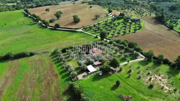 casa indipendente in vendita a Manciano in zona Montemerano