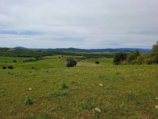 terreno agricolo in vendita a Manciano