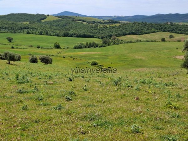 appartamento in vendita a Manciano in zona Saturnia