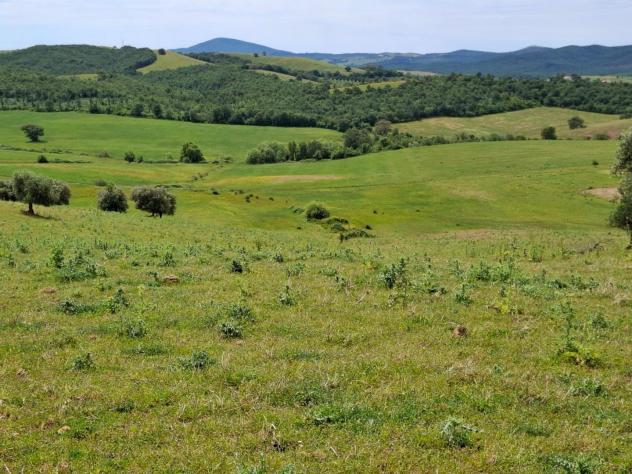 appartamento in vendita a Manciano in zona Saturnia