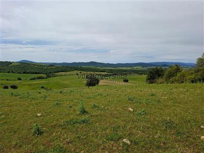azienda agricola in vendita a Manciano in zona Marsiliana