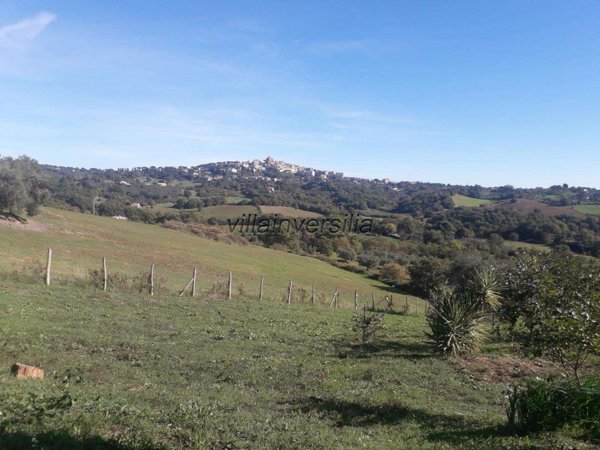 casa indipendente in vendita a Manciano