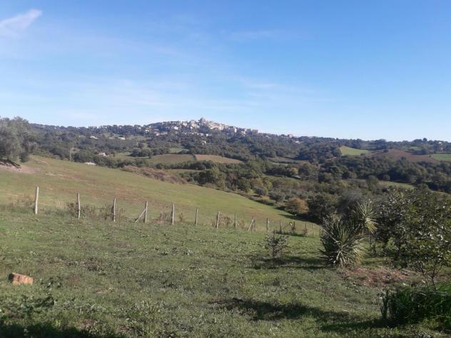 casa indipendente in vendita a Manciano