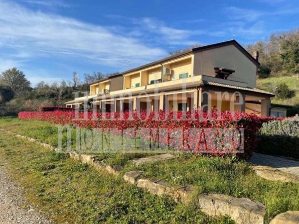 casa indipendente in vendita a Manciano in zona Saturnia