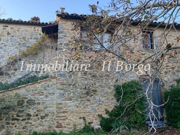 casa indipendente in vendita a Manciano in zona Montemerano