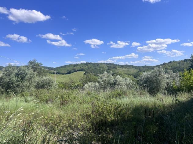 casa indipendente in vendita a Manciano in zona Montemerano