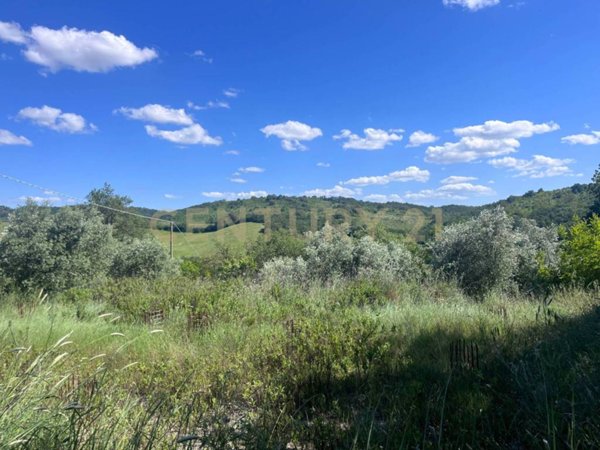 terreno agricolo in vendita a Manciano in zona Montemerano
