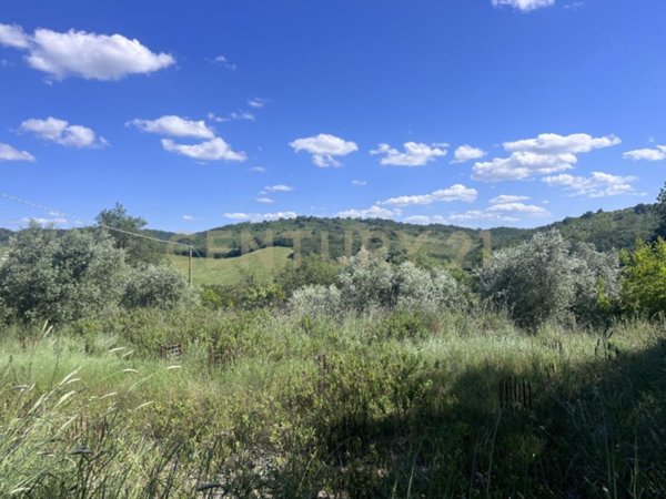 casa indipendente in vendita a Manciano in zona Montemerano