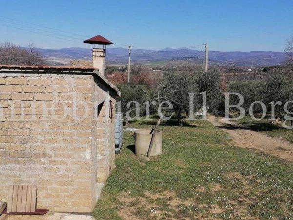 terreno agricolo in vendita a Manciano in zona Montemerano