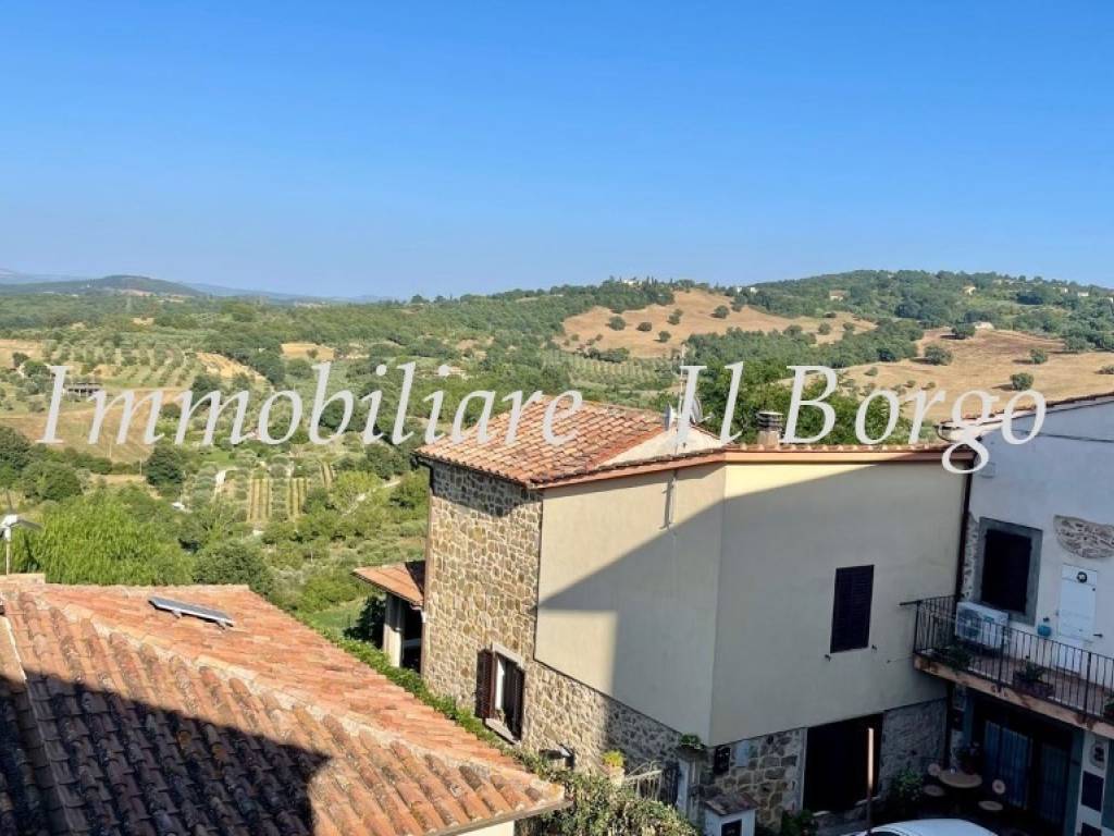 casa indipendente in vendita a Manciano in zona Montemerano