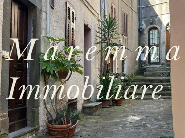 appartamento in vendita a Manciano
